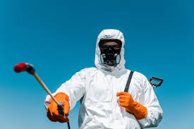 Best Fumigation Services  in Fountainebleau, FL